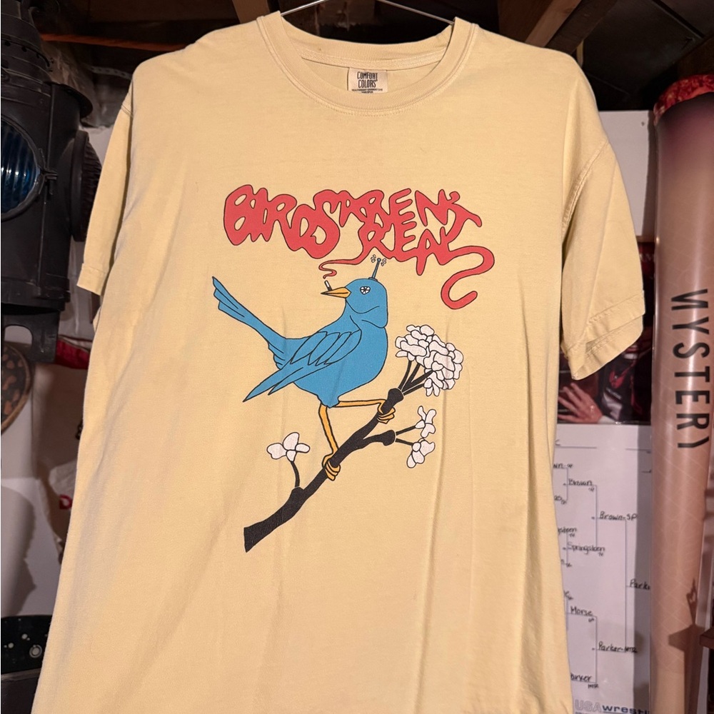 Birds Aren't Real Drone Smoker T. Comfort Colors